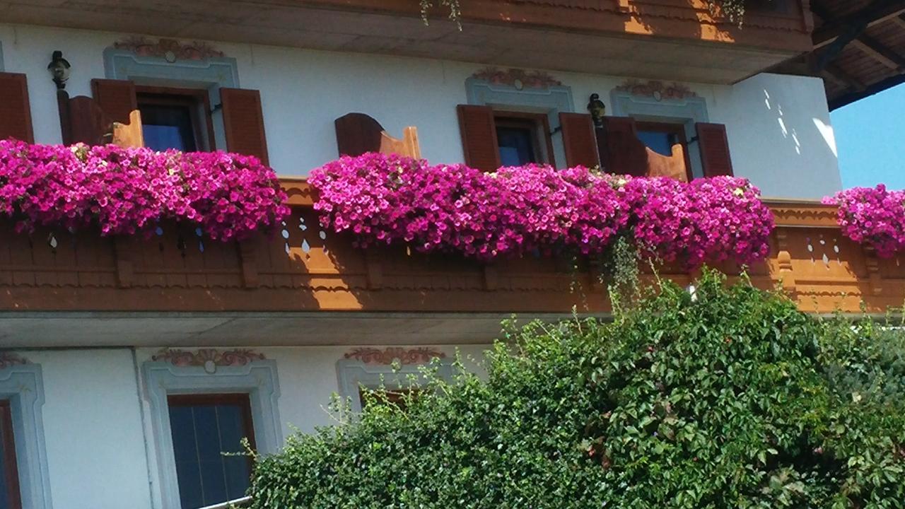 Residence Condor Маранца Екстер'єр фото